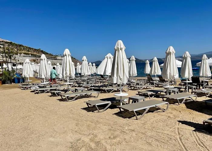 Beach Front Apartment